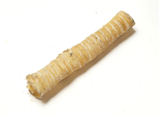 Long Trachea (Mixed 15-40cm)